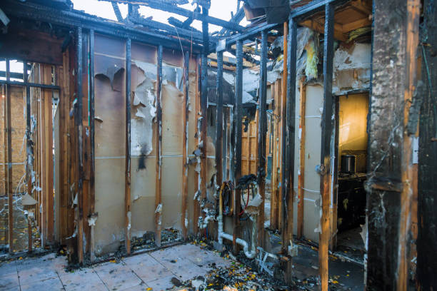 Professional Smoke Damage Removal technician working in Lakeland, FL