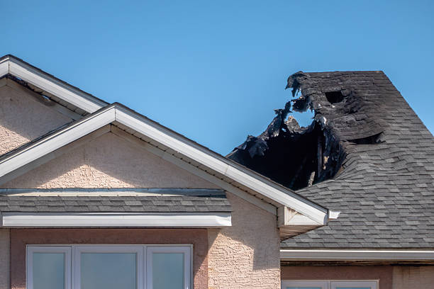 Top rated local Smoke Damage Removal specialists in Lakeland, FL